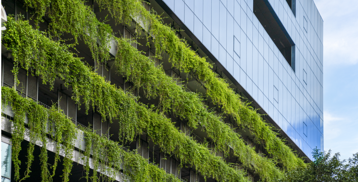 Green building with vertical garden representing sustainable lighting